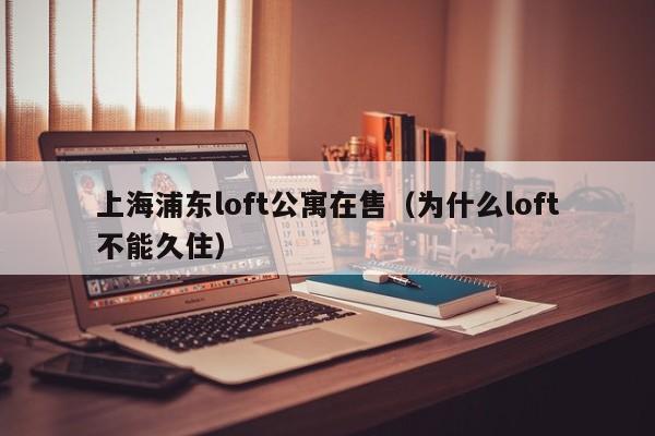 上海浦东loft公寓在售（为什么loft不能久住）