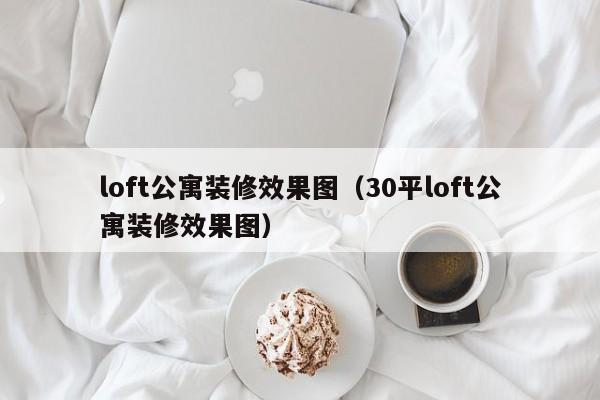 loft公寓装修效果图（30平loft公寓装修效果图）  第1张