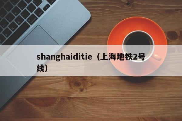 shanghaiditie（上海地铁2号线）  第1张