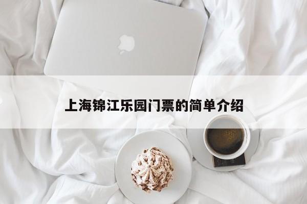 上海锦江乐园门票的简单介绍