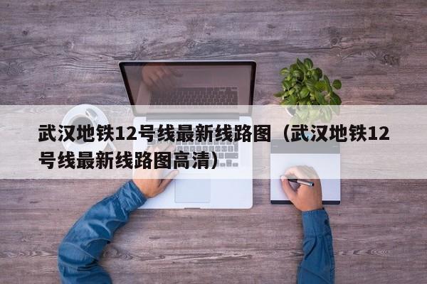 武汉地铁12号线最新线路图（武汉地铁12号线最新线路图高清）