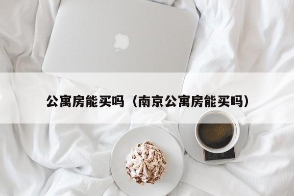 公寓房能买吗（南京公寓房能买吗）