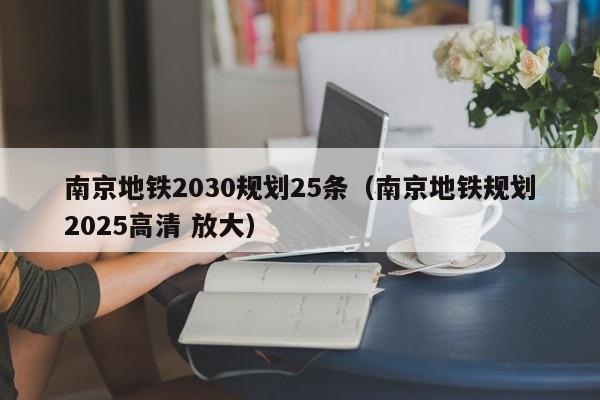 南京地铁2030规划25条（南京地铁规划2025高清 放大）