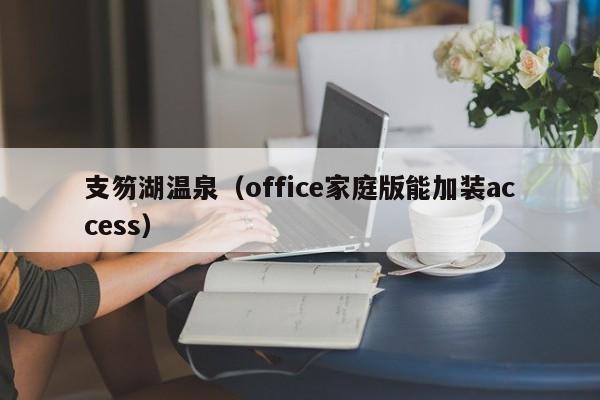 支笏湖温泉（office家庭版能加装access）