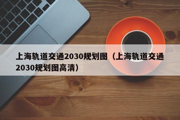 上海轨道交通2030规划图（上海轨道交通2030规划图高清）