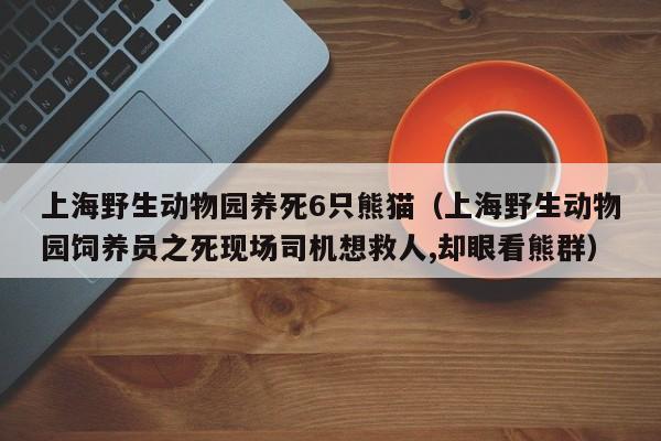 上海野生动物园养死6只熊猫（上海野生动物园饲养员之死现场司机想救人,却眼看熊群）