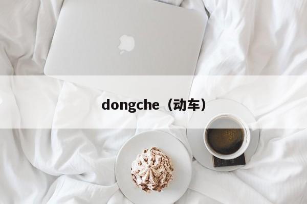 dongche（动车）