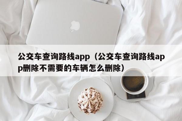 公交车查询路线app（公交车查询路线app删除不需要的车辆怎么删除）