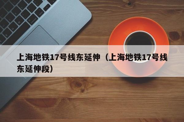 上海地铁17号线东延伸（上海地铁17号线东延伸段）