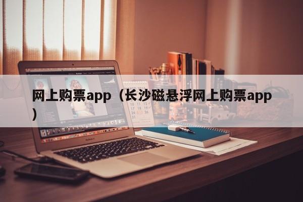 网上购票app（长沙磁悬浮网上购票app）