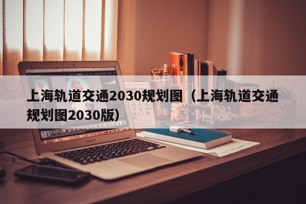 上海轨道交通2030规划图（上海轨道交通规划图2030版）